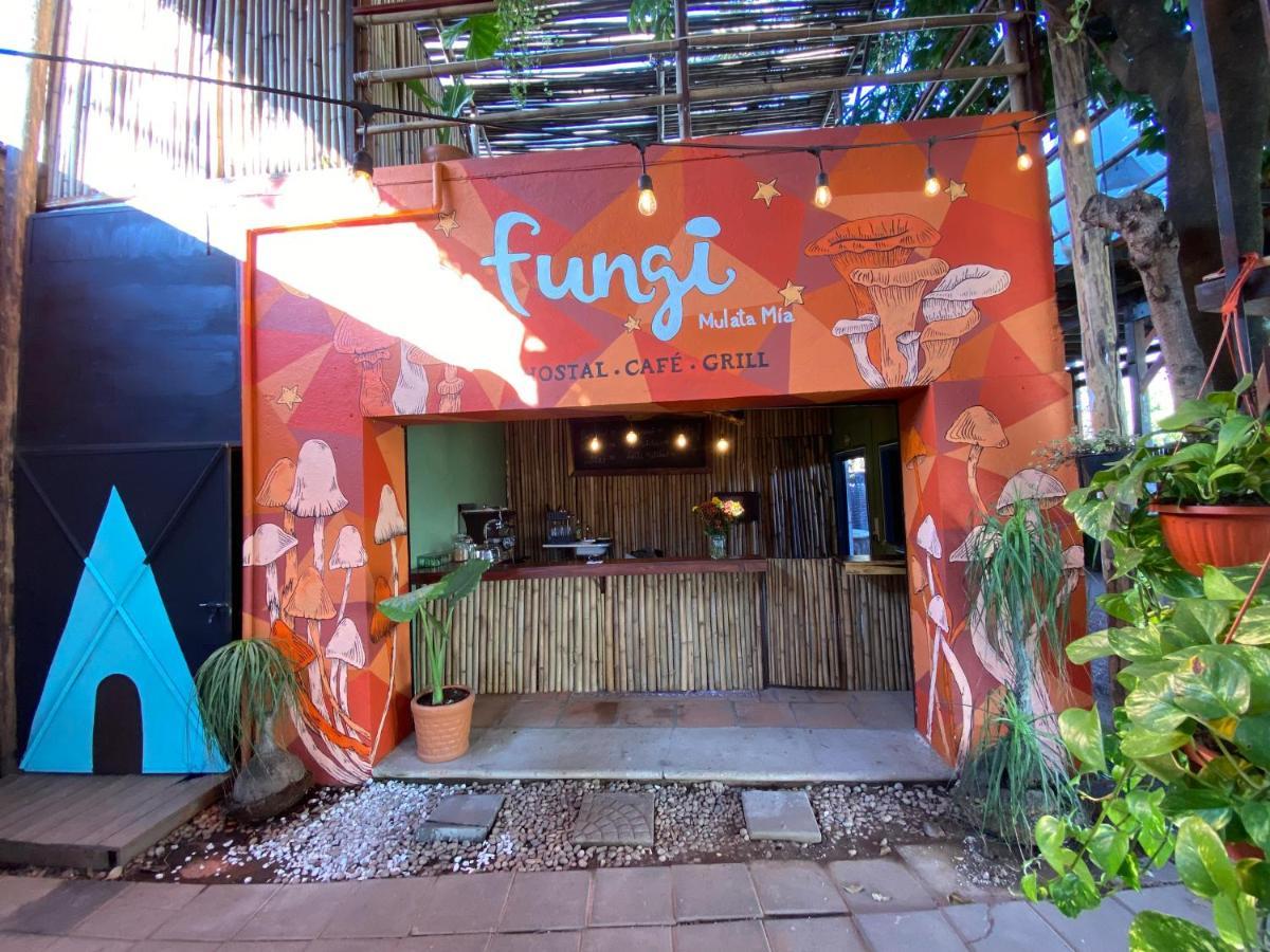 Hotel Fungi Tipis à Tepoztlán Extérieur photo